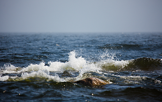 Pahin n&auml;ytt&auml;&auml; olevan ohi:  Viilenneet vedet ja tuuliset s&auml;&auml;t hillinneet sinilev&auml;kukintoja - Uutinen - Totalvene.fi