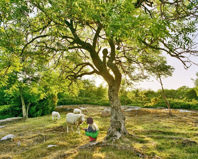 Tarjolla hetki&auml; saaristolaisten el&auml;m&auml;st&auml;:  Uutuuskirja avaa Turunmaan saariston kauneutta - Uutinen - Totalvene.fi