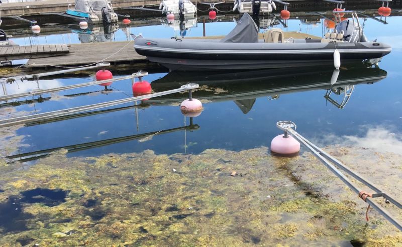 Hangon maineikkaaseen uimarantaan p&auml;&auml;si viem&auml;rivett&auml;: Puhdistamatonta j&auml;tevett&auml; laski rannan edustalle noin 100 000 litraa - Uutinen - Totalvene.fi