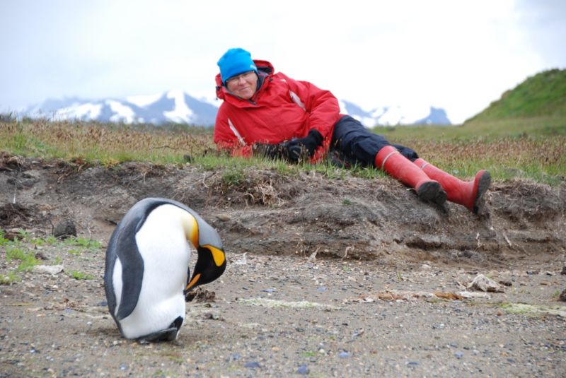 J&auml;&auml;n ja tulen maat: Arktisilla vesill&auml; purjehdus on miellytt&auml;v&auml;&auml;, kunhan muistaa varoa j&auml;&auml;karhuja - Uutinen - Totalvene.fi