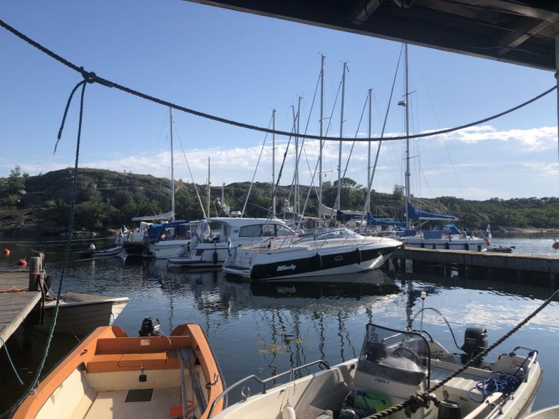 Kes&auml; oli tavanomaista l&auml;mpim&auml;mpi  &ndash; Syksyst&auml;kin povataan leutoa - Uutinen - Totalvene.fi