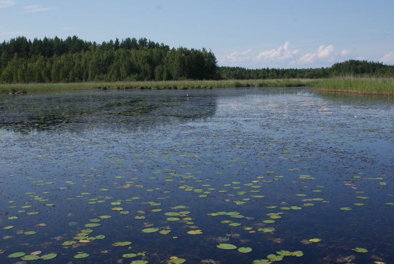 Vesist&ouml;paneeli: Suomen pienvesien tila on huono - Uutinen - Totalvene.fi
