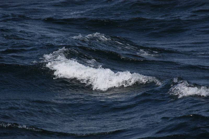 S&auml;&auml;tsunamit ovat Suomessa odotettua yleisempi&auml; &ndash; Aiheuttajana tyypillisesti ukkosrintama - Uutinen - Totalvene.fi