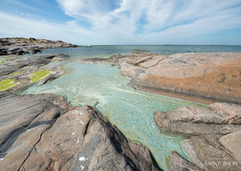 Saaristomeri pyrit&auml;&auml;n pelastamaan &ndash; Selvitysty&ouml; listaa keinot rehev&ouml;ityneen Saaristomeren suojelemiseksi - Uutinen - Totalvene.fi