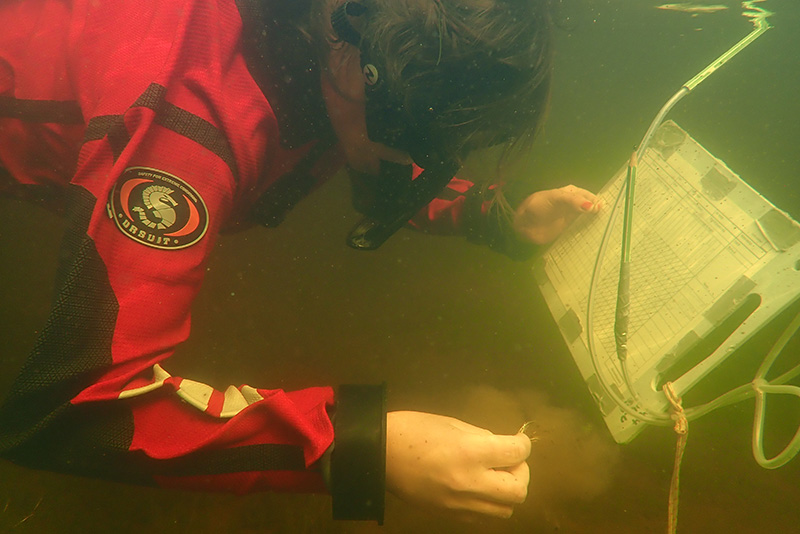 P&auml;&auml;kaupunkiseudun pinnan alla kuhisee &ndash; Erityisi&auml; meriluontokohteita kartoitetaan Helsingiss&auml; ja Espoossa - Uutinen - Totalvene.fi