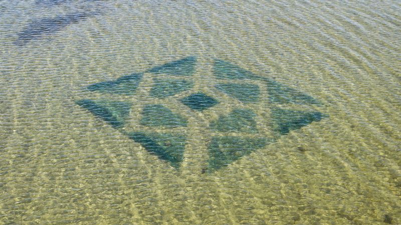 Meriruohoista taidetta &ndash; Zostera Marina - Muutosten meress&auml; -n&auml;yttely Vellamossa - Uutinen - Totalvene.fi