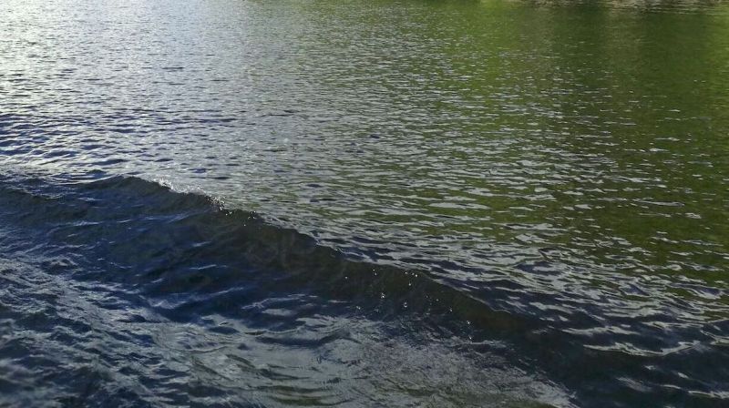 Varoitus veneilij&ouml;ille &ndash; Vaarallinen putki nousi pintaan Vesij&auml;rvell&auml; Lahdessa l&auml;hell&auml; Vasikkasaarta - Uutinen - Totalvene.fi