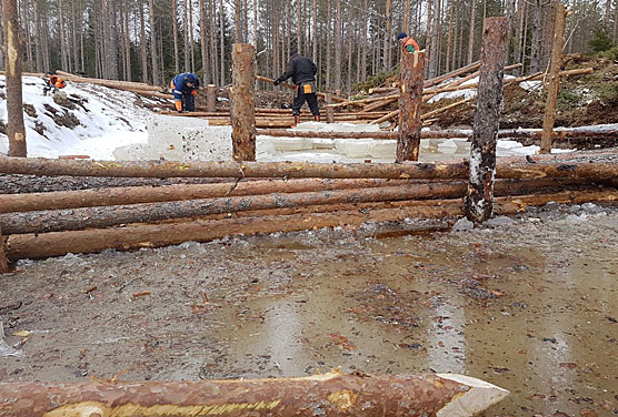 SYKE tutkii vesiensuojelukeinoa  &ndash; Uppopuupuhdistamoita testataan valuma-alueiden puhdistamiseen  - Uutinen - Totalvene.fi