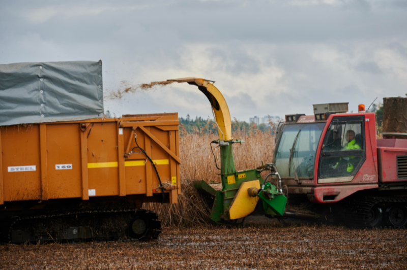 Rehev&ouml;itymist&auml; vastaan &ndash; JNS:n Rannikkoruoko-hanke vauhdittaa j&auml;rviruo&rsquo;on hy&ouml;tyk&auml;ytt&ouml;&auml; - Uutinen - Totalvene.fi