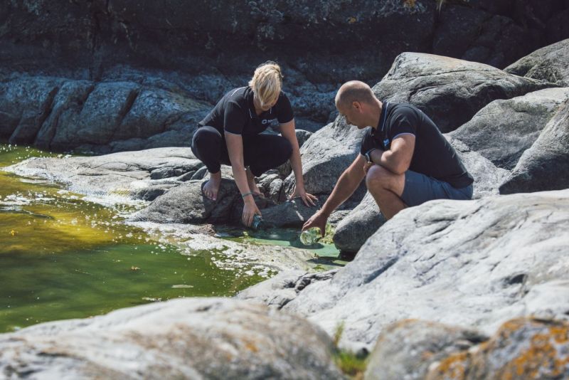 It&auml;meren sinilev&auml;havainnot voi ilmoittaa tutkijoiden k&auml;ytt&ouml;&ouml;n &ndash; Jokakes&auml;isest&auml; riesasta halutaan kasvattaa liiketoimintaa  - Uutinen - Totalvene.fi