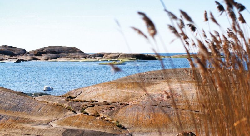 Kuulutko riskiryhm&auml;&auml;n?  It&auml;meren rannikon uimavesiss&auml; piilee nyt vakava infektioriski - Uutinen - Totalvene.fi