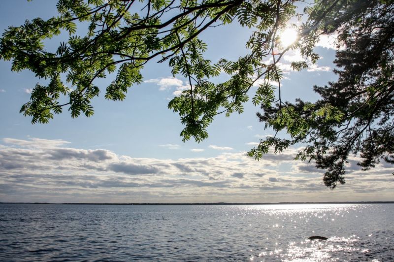 Huh hellett&auml;! &ndash; Juhannusviikonlopun s&auml;&auml;ennusteet ovat keikahtaneen helleaallon suuntaan: jopa 30 astetta mahdollista - Uutinen - Totalvene.fi