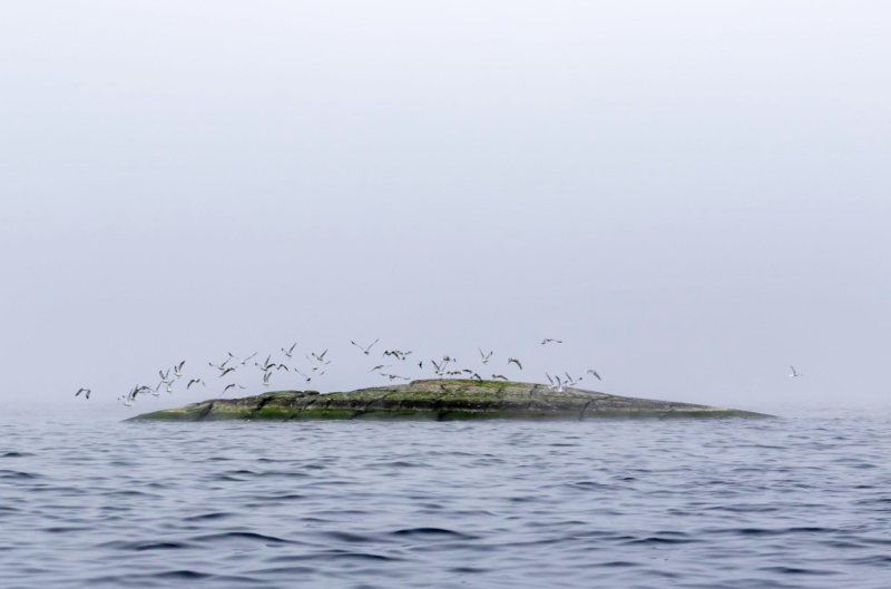 Nordstream-kaasuputkien vuoto &ndash; Asiantuntijaj&auml;rjest&ouml;n mukaan Nordstream-vuoto ei suoraan aiheuta merkitt&auml;v&auml;&auml; uhkaa It&auml;merelle  - Uutinen - Totalvene.fi