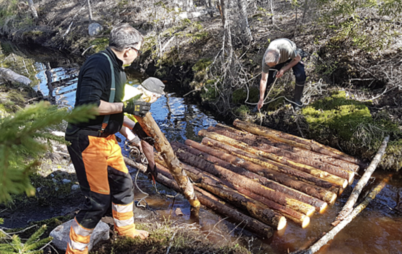 Puupuhdistamot tekev&auml;t ojista ravinnesieppareita ja hy&ouml;nteishotelleja &ndash; Vesien rehev&ouml;itymist&auml; pyrit&auml;&auml;n suitsemaan monin keinoin - Uutinen - Totalvene.fi