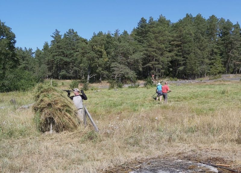 Selk&auml;meren kansallispuisto t&auml;ytti kymmenen vuotta &ndash; Kansallispuistoa juhlitaan S&auml;pin saarella 23. hein&auml;kuuta klo 11&ndash;16 - Uutinen - Totalvene.fi