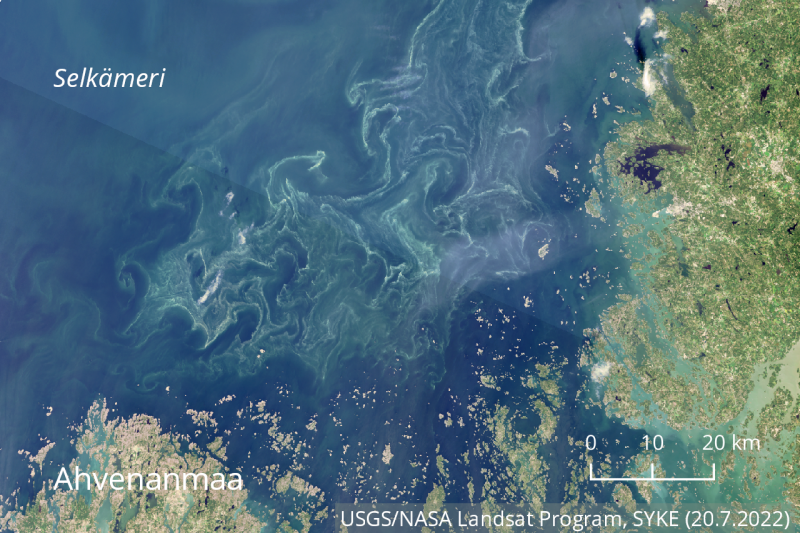 Merell&auml; sinilev&auml;&auml; edelleen runsaasti &ndash; J&auml;rvien tilanne normaalia parempi - Uutinen - Totalvene.fi