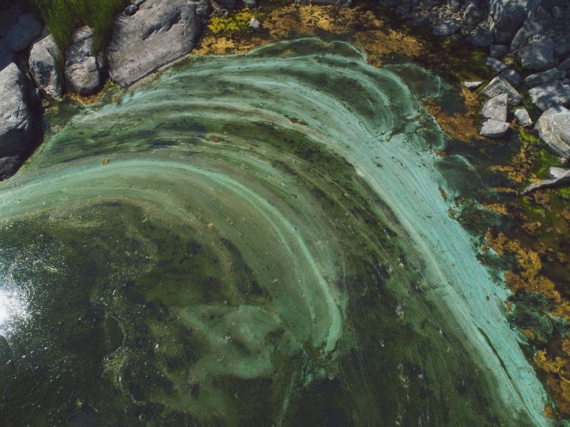 Sinilev&auml;t syyniin joukkovoimalla &ndash; Origin by Ocean ja Seapoint yhteisty&ouml;h&ouml;n - Uutinen - Totalvene.fi