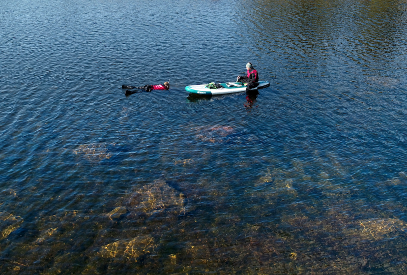 Uhanalaisia lajeja kartoitetaan Suomen rannikkovesist&auml; nyt tarkemmin kuin koskaan aiemmin &ndash; Kartoitusten kohteiksi on valittu seitsem&auml;n uhanalaista tai silm&auml;ll&auml;pidett&auml;v&auml;ksi luokiteltua lajia - Uutinen - Totalvene.fi