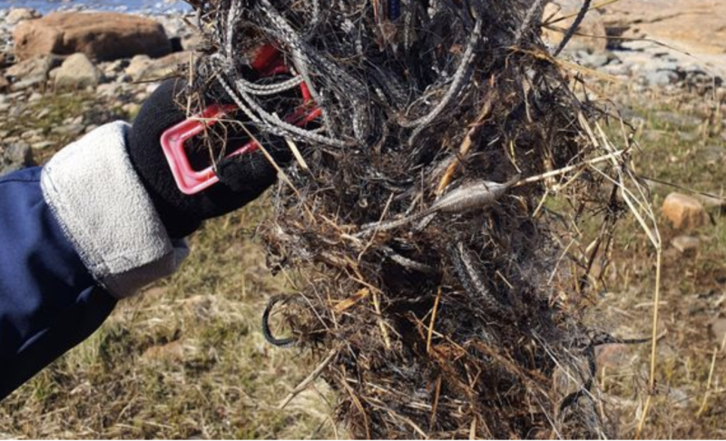 Haamuverkot halutaan pois luonnosta &ndash; Ota QR-koodi haltuun ja ilmoita karkuteill&auml; oleva pyydys - Uutinen - Totalvene.fi