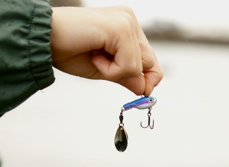 Kalastus- ja mets&auml;styslupien hinnat nousevat vuoden 2024 alussa &ndash; Hinnankorotusten taustalla ovat kasvaneet kustannukset - Uutinen - Totalvene.fi