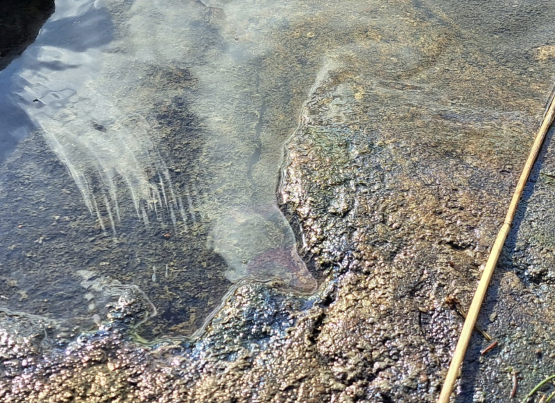 &ldquo;Kevyet &ouml;ljyt ovat yleens&auml; raskaita &ouml;ljyj&auml; myrkyllisempi&auml;&rdquo; &ndash; Ymp&auml;rist&ouml;j&auml;rjest&ouml; osallistuu &ouml;ljyntorjuntaan Joutsenon Kolarinlahdella - Uutinen - Totalvene.fi