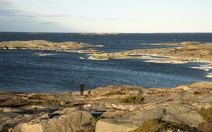 Kes&auml;n lev&auml;ennuste: L&auml;mmin ja tyyni s&auml;&auml; voi kasvattaa sinilev&auml;kukinnat voimakkaiksi - Uutinen - Totalvene.fi