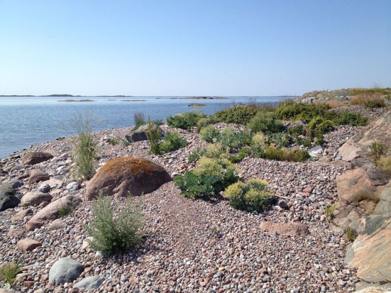 Viime vuosi oli luonnonsuojelun kannalta t&auml;ysosuma &ndash; Lounais-Suomessa on nyt suojeltu miltei 130 000 hehtaaria luontoa - Uutinen - Totalvene.fi