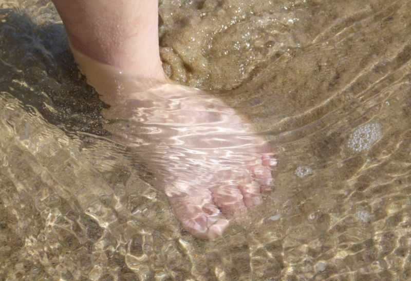 T&auml;n&auml;&auml;n vietet&auml;&auml;n YK:n Maailman merien p&auml;iv&auml;&auml; &ndash; Luo John Nurmisen S&auml;&auml;ti&ouml;n vinkit veneilij&auml;lle It&auml;meren suojeluun - Uutinen - Totalvene.fi