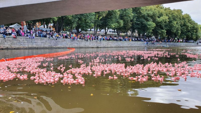 Ei anneta vapun valua It&auml;mereen  &ndash; Roope ja Posankka kutsuvat vapun juhlijat puhtaiden vesist&ouml;jen puolelle - Uutinen - Totalvene.fi