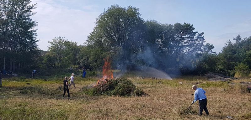Talkoissa runsas valinnanvara &ndash; Nyt voit kantaa kortesi kekoon ja osallistua saaristoluonnon hoitoon k&auml;yt&auml;nn&ouml;ss&auml; - Uutinen - Totalvene.fi