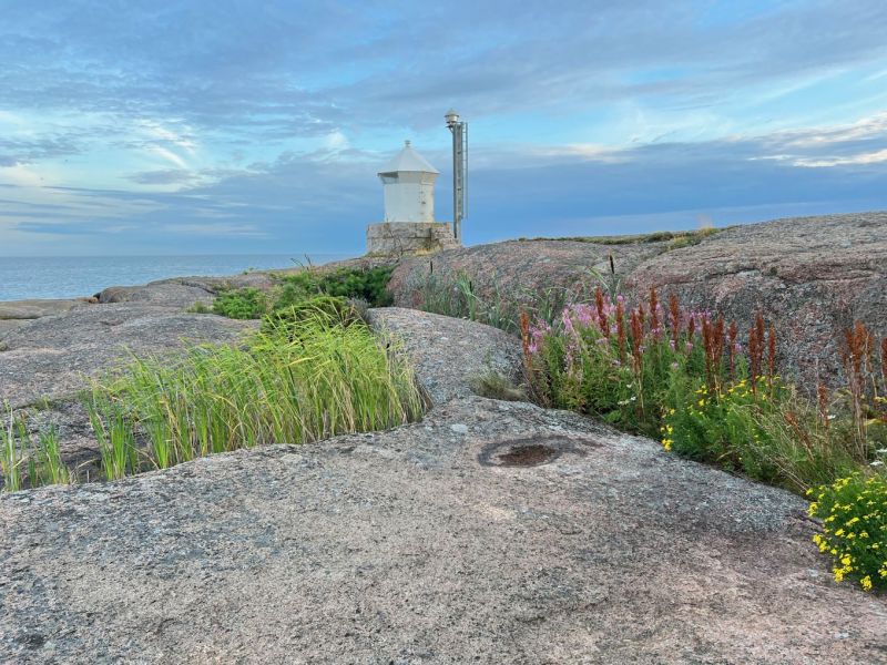Rannikko-LIFE -hanke &ndash; Tutustu rannikon ainutlaatuiseen luontoon ja sen hoitoon Rauman kaupunginkirjastolla  - Uutinen - Totalvene.fi