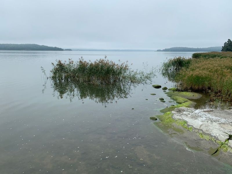 Tutustu uuteen teemasivustoon vesist&ouml;jen kunnostamisesta &ndash; Ajantasaista tietoa ja k&auml;yt&auml;nn&ouml;nl&auml;heisi&auml; ohjeita - Uutinen - Totalvene.fi