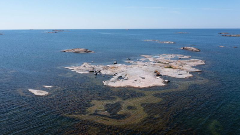Maatalouden valumat It&auml;mereen laitettava kuriin &ndash; Ymp&auml;rist&ouml;nsuojeluj&auml;rjest&ouml;t vaativat seuraavalta hallitukselta pikaisia toimia - Uutinen - Totalvene.fi
