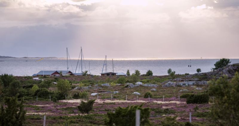 Johtaja Jari H&auml;nninen luennoi Saaristomerest&auml;  &ndash; 60 vuotta Seilin tutkimushistoriaa - Uutinen - Totalvene.fi