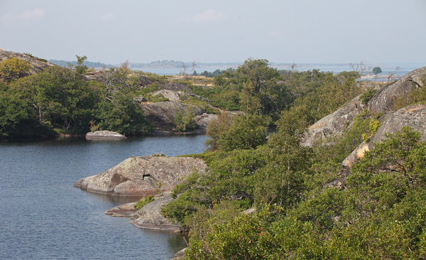 Ehdotus: Saaristomerelle lis&auml;&auml; toimia parantamaan meriluonnon tilaa  &ndash; Kommentoi suunnitelmaa viimeist&auml;&auml;n 30.6. - Uutinen - Totalvene.fi