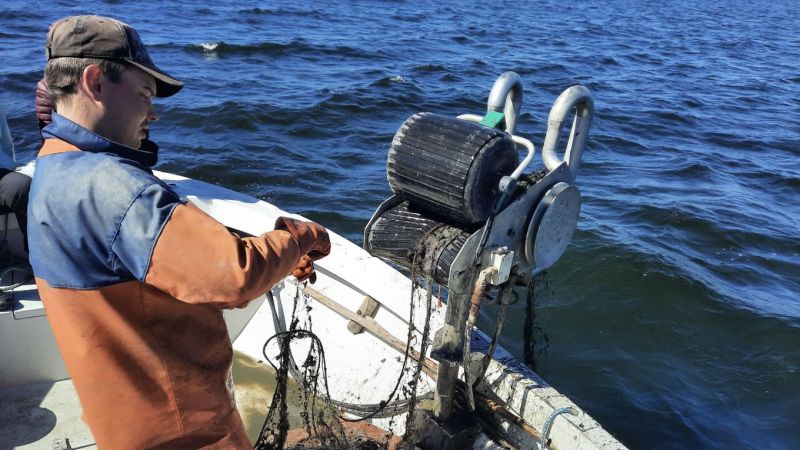 Re:Fish-hanke &ndash; Kadonneita kalastusv&auml;lineit&auml; ker&auml;t&auml;&auml;n merest&auml; - Uutinen - Totalvene.fi