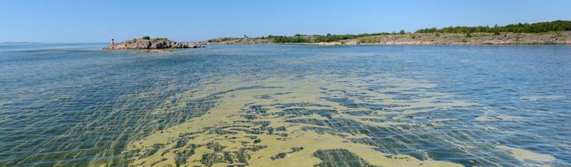 Maatalouden ravinteet kuormittavat edelleen vesist&ouml;j&auml; liikaa &ndash; Rahoitusohjelmien kustannusvaikuttavuutta tulisi parantaa - Uutinen - Totalvene.fi