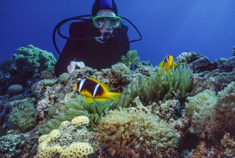 &Aring;lands fotografiska museum (1.6.-30.9.2025) &ndash; Erkki Siiril&auml;n valokuvia esill&auml; Ahvenanmaan valokuvamuseossa - Uutinen - Totalvene.fi