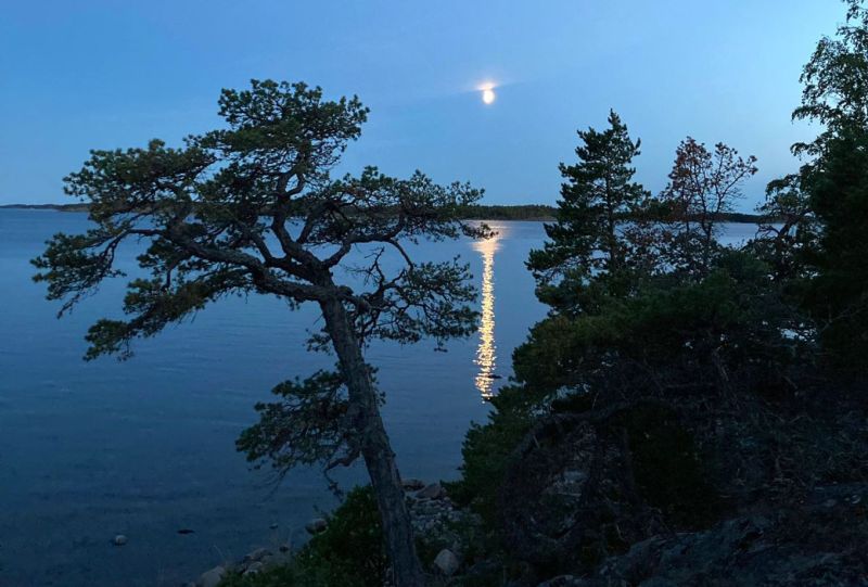 Muinaistulien y&ouml;, Gullkrona 30.8.2025 &ndash; Perinnetapahtuma tuo valoa ja yhteis&ouml;llisyytt&auml; Gullkronaan - Uutinen - Totalvene.fi