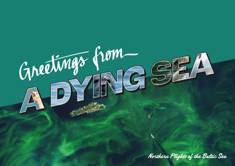 John Nurmisen S&auml;&auml;ti&ouml; markkinoi sinilev&auml;lauttoja Suomen uutena matkailun&auml;ht&auml;vyyten&auml; &ndash; Kiinnitt&auml;&auml; huomion It&auml;meren h&auml;t&auml;tilaan  - Uutinen - Totalvene.fi