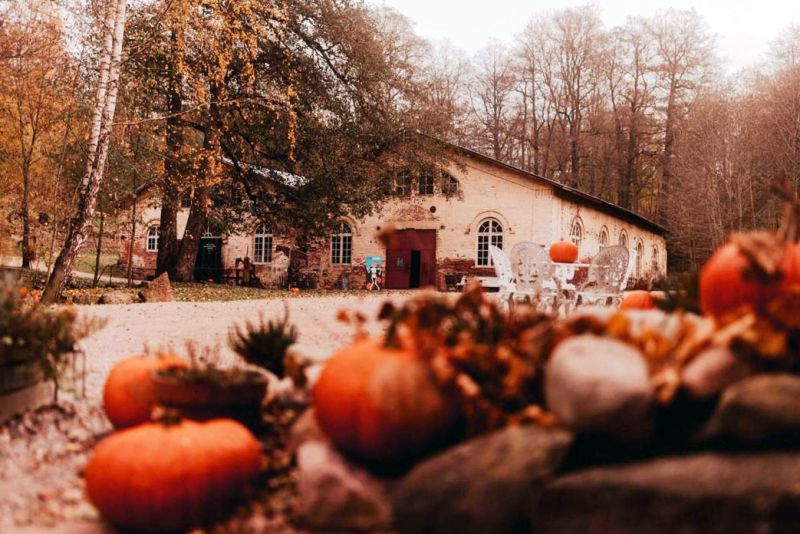 Syksy saapuu ruukkikyl&auml;&auml;n &ndash; Lapsille el&auml;myksi&auml; ja aikuisille rentoutusta  - Uutinen - Totalvene.fi