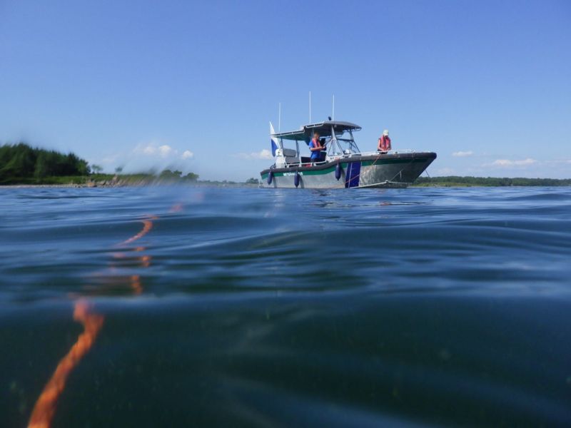 Suunnitelma It&auml;meren pelastamiseksi: 34 toimenpide-ehdotusta merensuojelualueverkoston vahvistamiseksi - Uutinen - Totalvene.fi