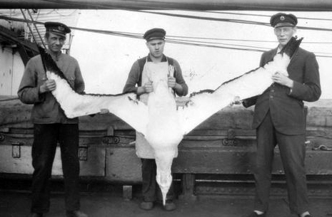 Vieraita maita ja rautalaivoja, Nauvon Merenkulkutalo 10.6&ndash;31.8.2025 &ndash; N&auml;yttely avaa menneiden vuosisatojen suomalaismerimiesten maailmaa - Uutinen - Totalvene.fi