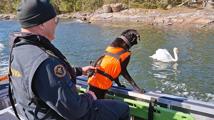  Merivartiostojen juhannustiedote &ndash; Ennakoi ja huomioi - Uutinen - Totalvene.fi