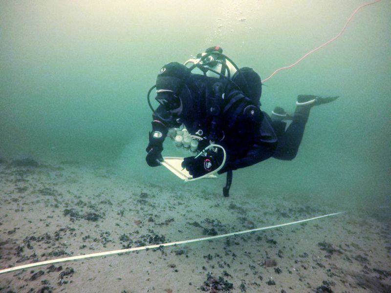 Saaristomeren luontoarvoja kartoitetaan tulevana kes&auml;n&auml; &ndash; Tavoitteena parempi tietopohja suojeluun ja kaavoitukseen - Uutinen - Totalvene.fi