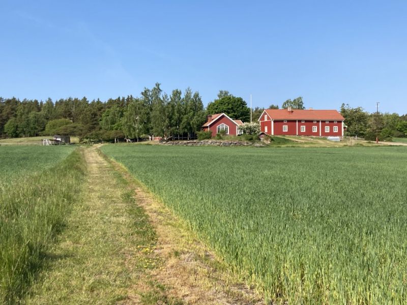 Saaristohotelli Vaihelassa valmistaudutaan kes&auml;&auml;n  &ndash; Luvassa el&auml;myksi&auml;, tunnelmaa ja Joel Hallikainen - Uutinen - Totalvene.fi
