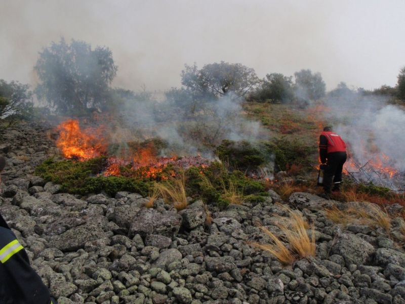 Valassaarilla savuaa 23.4.2025 &ndash; Mets&auml;hallitus polttaa nummea Merenkurkun Valassaarilla yhteisty&ouml;ss&auml; paikallisten toimijoiden kanssa - Uutinen - Totalvene.fi