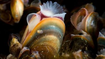 World Unseen 19.&ndash;30.11.2025 &ndash; Musiikkitalon valokuvan&auml;yttely kurkistaa pinnan alle  - Uutinen - Totalvene.fi