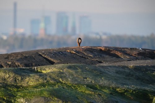 &Ouml;ljyonnettomuuden riski Suomenlahdella on poikkeuksellisen korkea  &ndash; John Nurmisen S&auml;&auml;ti&ouml; k&auml;ynnist&auml;&auml; toimet rannikon suojelemiseksi - Uutinen - Totalvene.fi