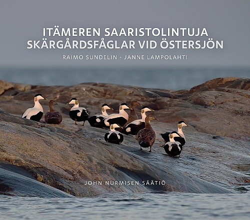Uutuusteos kertoo It&auml;meren saaristolinnuston muutoksista &ndash; Haahkan alam&auml;ki ja merikotkan paluu kuvaavat luonnon suuria muutoksia - Uutinen - Totalvene.fi